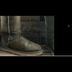 Ugg tall boots